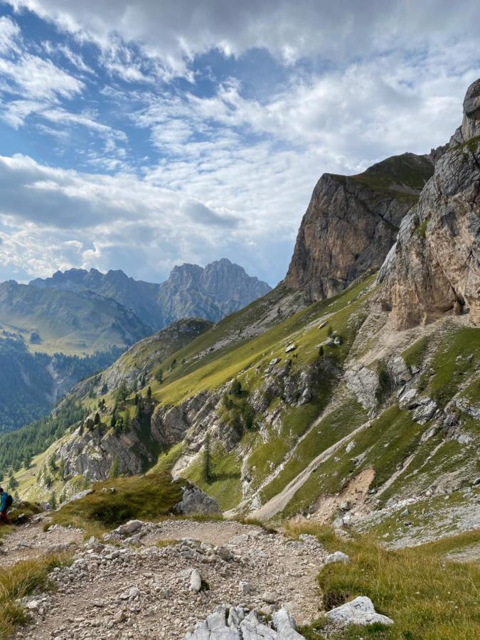 Casa Fiemme Panchia Daire Dış mekan fotoğraf