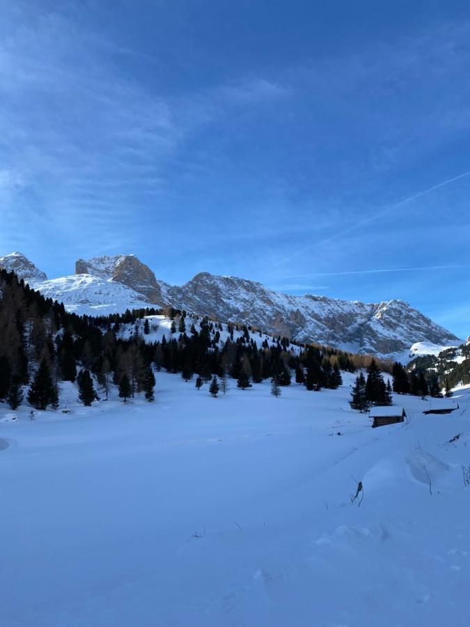 Casa Fiemme Panchia Daire Dış mekan fotoğraf